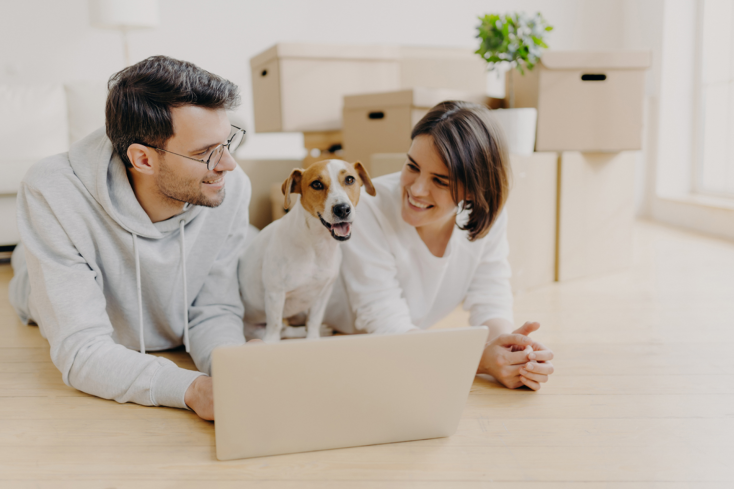 Couple with dog on the floor looking at computer in new home
